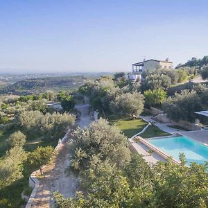 Tenuta Olive Alive
